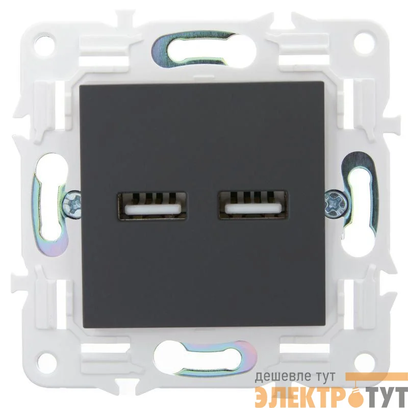 Розетка USB A+A 3.1А SKANDY SK-R15G графит IEK SK-U21-D31-K53