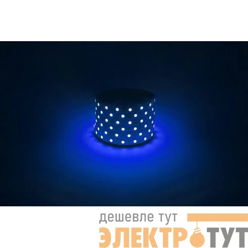 Лента светодиодная LS5050 -14.4-60-12-B-IP20-1 year-5m син. (уп.5м) Эра Б0059921
