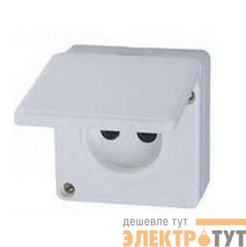 Розетка 1-м ОП 16А IP44 без заземл. бел. БЕЛТИЗ РА 16-004