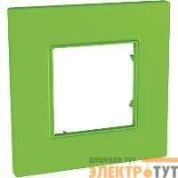 Рамка 1-м Unica quadro киви SchE MGU4.702.28