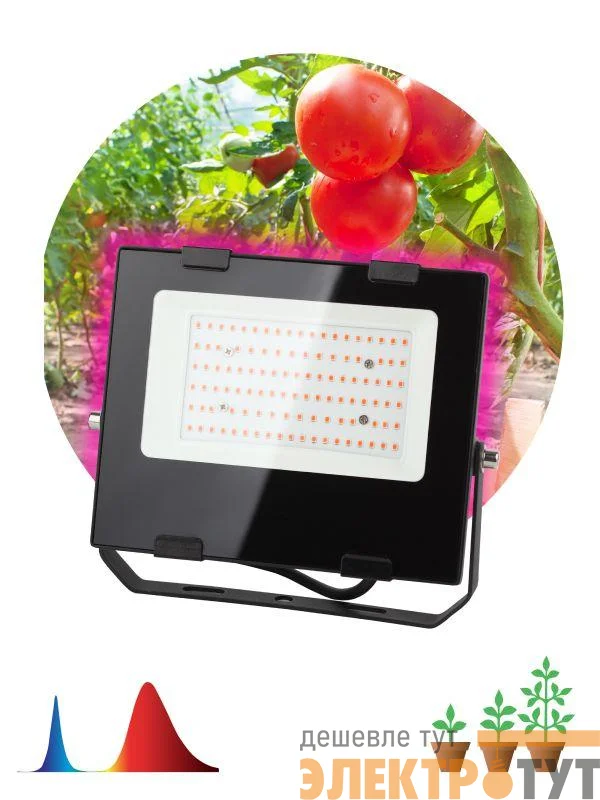 Прожектор для растений FITO-50W-RB-LED 50Вт IP65 красно-синего спектра ЭРА Б0046368