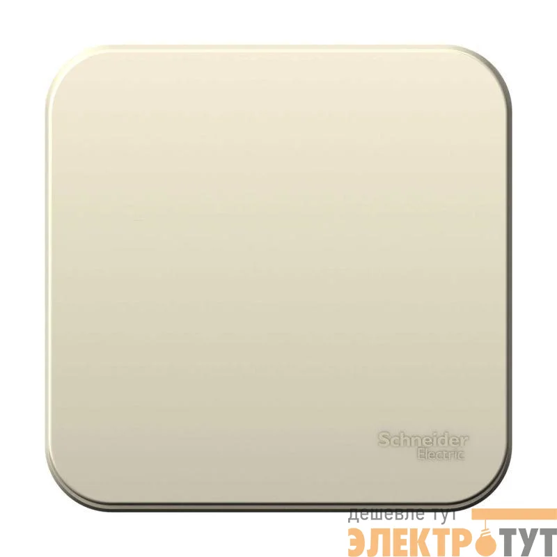 Выключатель 1-кл. ОП Blanca 10А IP20 (сх. 1) 250В с изолир. пластиной молочн. SE BLNVA101012