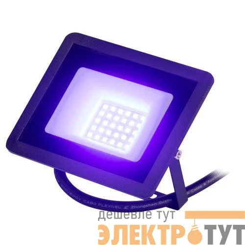 Прожектор светодиодный уличный LPR-025-BLUE-030 30Вт син. свечение 330лм IP65 Эра Б0064716