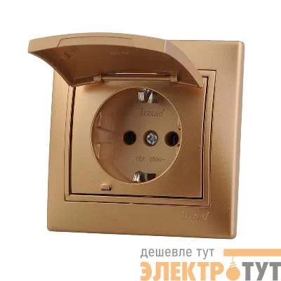 Розетка 1-м СП Мира с защ. крышкой керам. с заземл. метал. зол. Lezard 701-1313-123