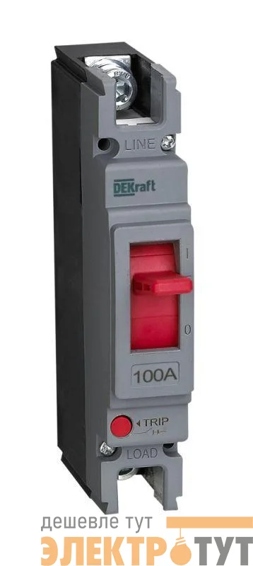 Выключатель автоматический 1п 100А 20кА ВА-301 DEKraft 28018DEK