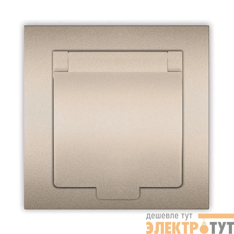 Розетка 1-м СП Афина 16А IP20 с заземл. с крышкой в сборе шампань Universal A0029-Br