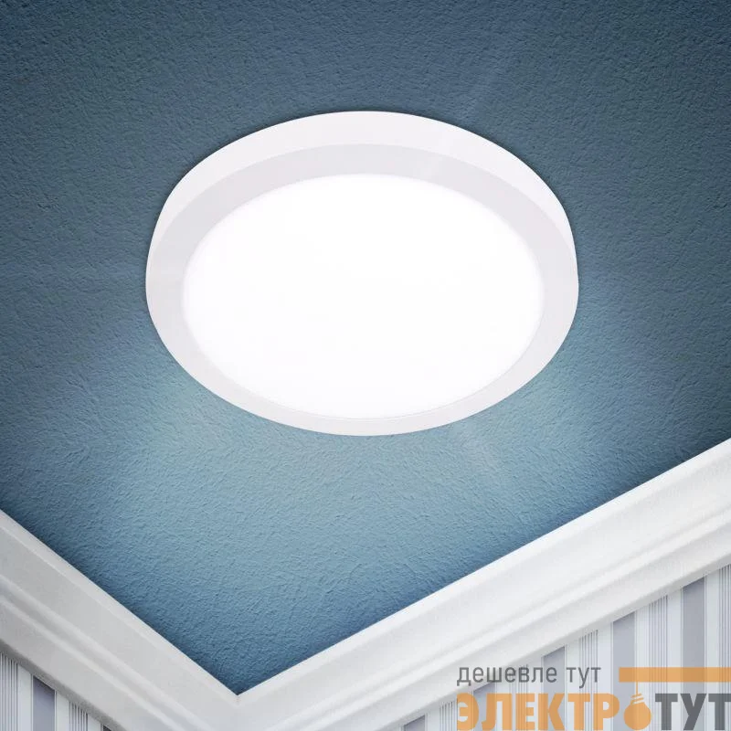 Светильник светодиодный LED 8-24-4K 24Вт 220В 4000К круглый накладной бел. ЭРА Б0050277