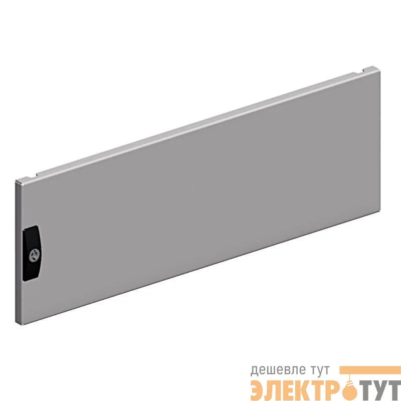 Дверь передняя укороч. сплошная 200х600 SchE NSYMPD4M6