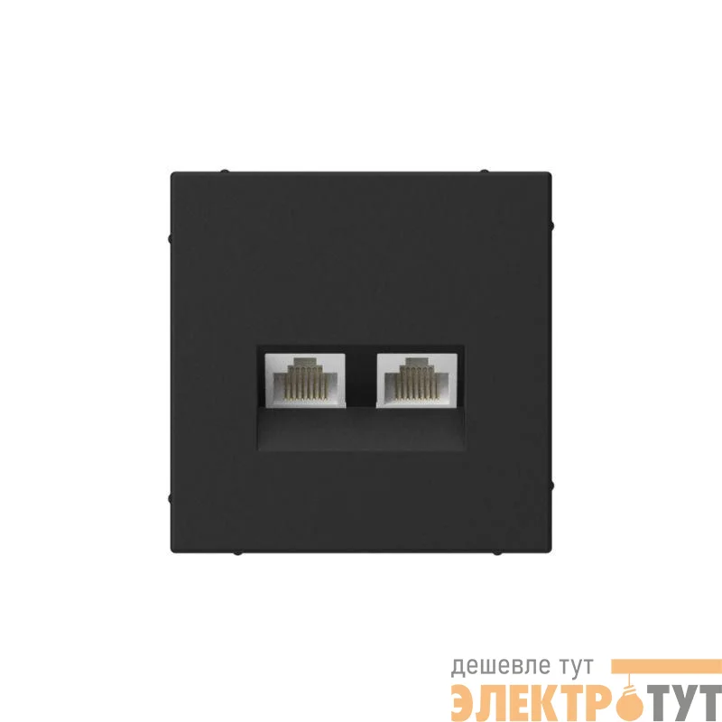 Розетка компьютерная 2-м ArtGallery RJ45 + RJ45 кат.5E механизм карбон SE GAL001085