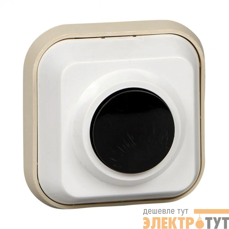 Выключатель кнопочный 0.4А 250В для электрозвонка DIY SE A1-04-011-I
