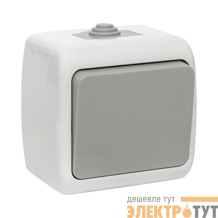 Выключатель 1-кл. ОП Мурманск 10А IP54 сер. EKF EFV10-021-30-54