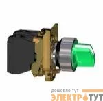Переключатель 2-х поз. с фикс. 1НО+1Н3 с инд. зел. SchE XB4BK123M5