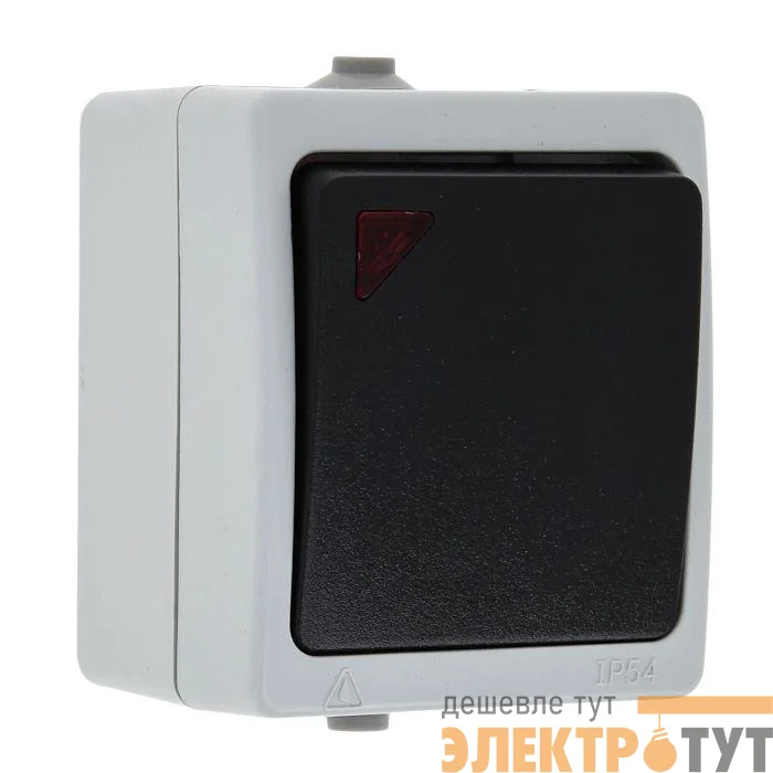 Выключатель 1-кл. ОП Венеция 10А IP54 с индикатором сер. EKF EVV10-121-30-54