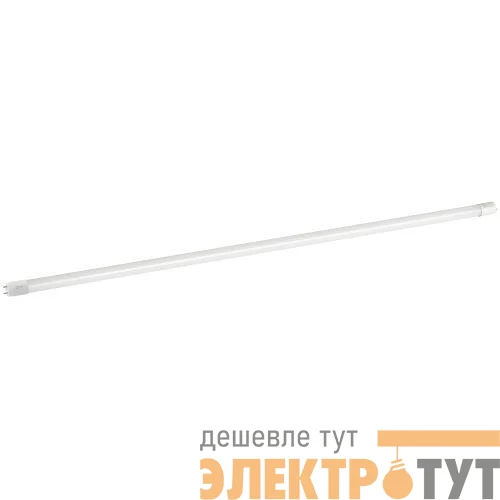 Лампа светодиодная RED LINE LED T8-20W-840-G13-1200mm NTB G13 20Вт 4000К неповоротный цоколь; трубка-стекло нейтр. бел. Эра Б0062484