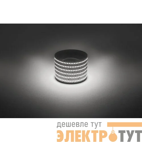 Лента светодиодная LS2835 -19.2-240-12-4000K-IP20-1 year-5m нейтр. бел. (уп.5м) Эра Б0059907