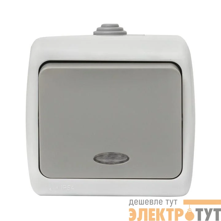 Выключатель 1-кл. ОП Мурманск 10А IP54 с индикатором сер. EKF EFV10-121-30-54
