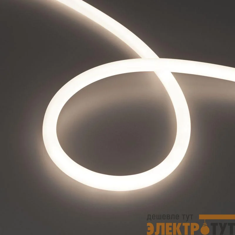 Лента светодиодная MOONLIGHT-TOP-S-M560-D13mm 24V Day 4300К 13Вт/м IP65 wire x1 трос прямой вывод герметичная (уп.5м) Arlight 043817