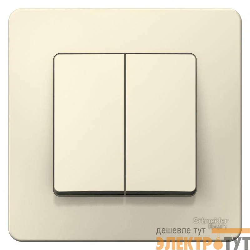 Выключатель 2-кл. СП Blanca 6А IP20 (сх. 5) 250В молочн. SchE BLNVS006502