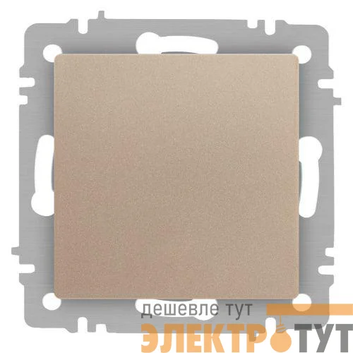 Кнопка Accent 6-109-04 10А-250В IP20 СУ шампань Intro Б0063610