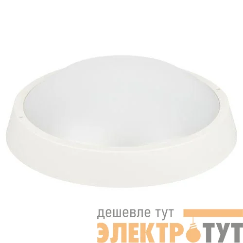 Светильник светодиодный SPB-203-0-65К-024 24Вт 6500К IP65 2040лм ЖКХ D320мм КРУГ бел. Эра Б0062684