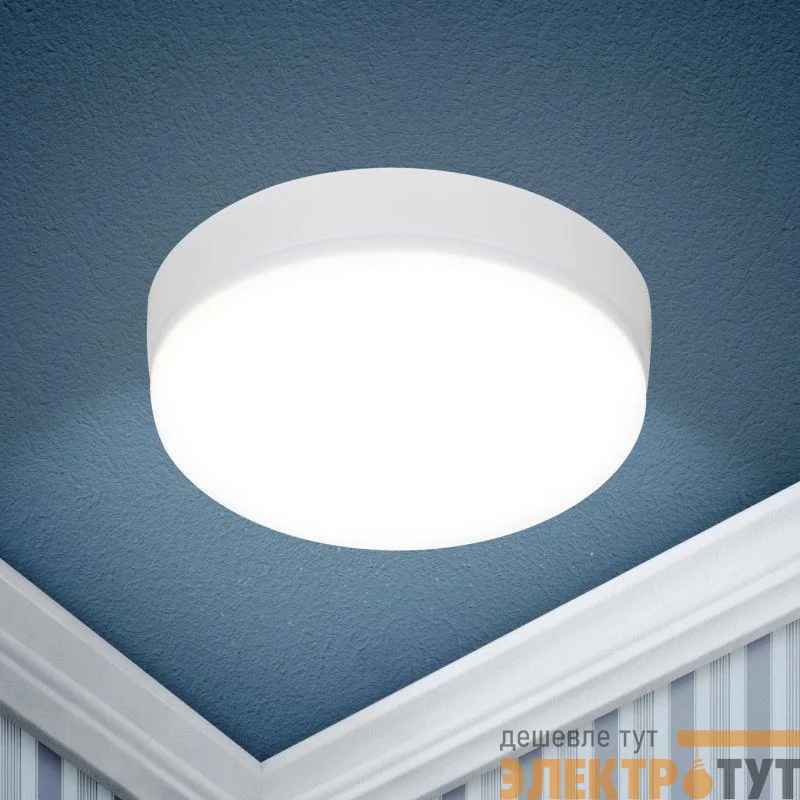 Светильник светодиодный LED 15-36-4K 36Вт 4000К накладной круглый Эра Б0054336