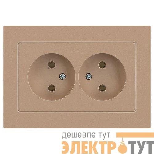 Розетка 2-м СП Accent 6-204-04 16А IP20 250В 2P AL/CU шампань Intro Б0063462