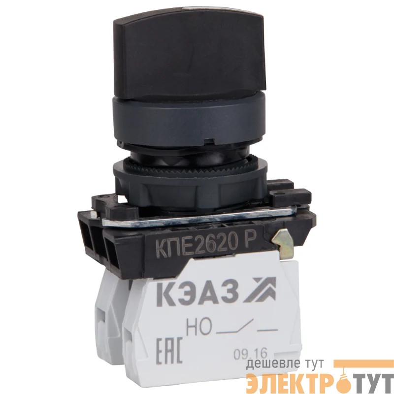 Переключатель КПЕ1611Р 1но+1нз ручка фикс 2поз IP65 черн. КЭАЗ 248268