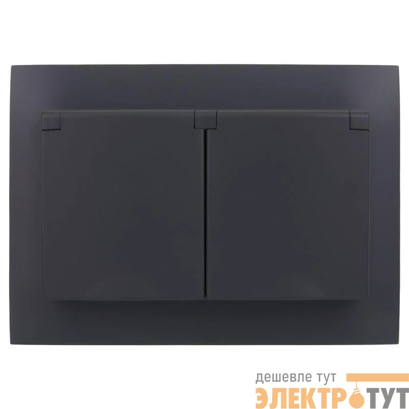 Розетка 2-м SKANDY 16А IP44 с крышкой в сборе SK-R12T титан IEK SK-R26-16-44-K48-F