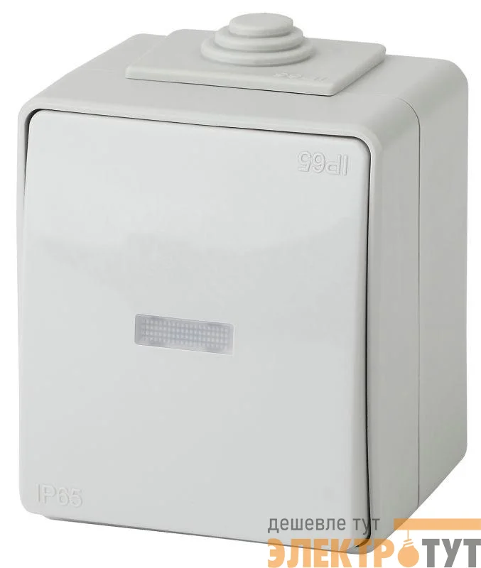 Выключатель 1-кл. ОП Эра Эксперт 10А IP65 11-1602-03 250В 10AX с подсветкой сер. Эра Б0035974