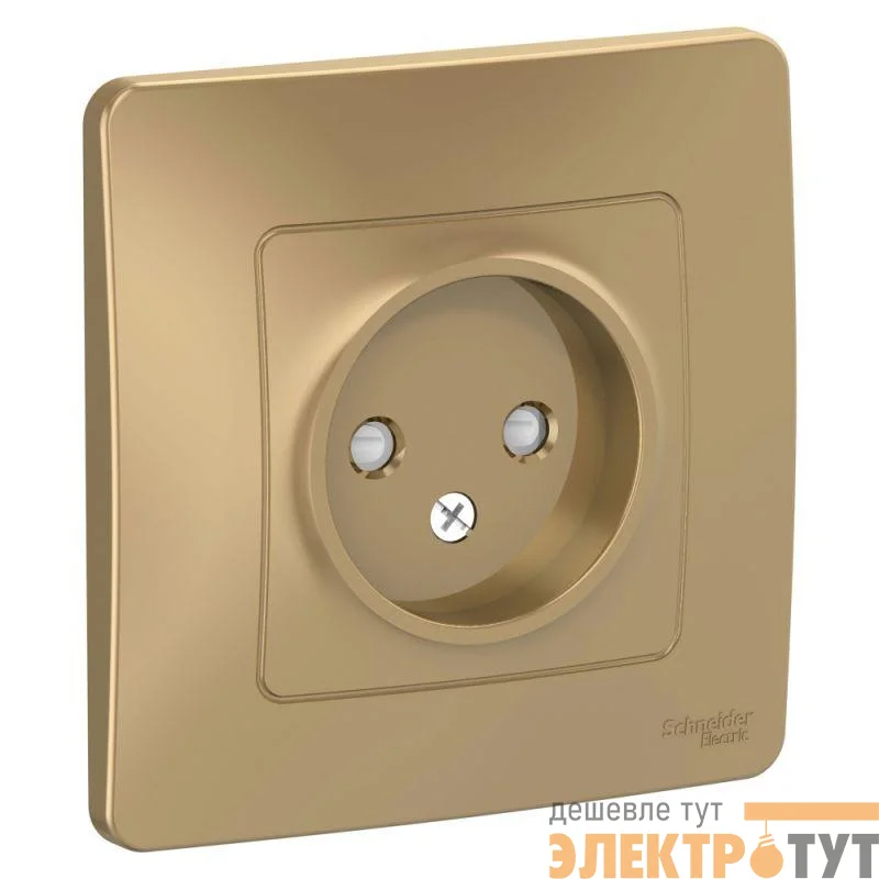 Розетка 1-м СП Blanca 16А IP20 250В без заземл. защ. шторки титан SchE BLNRS000114
