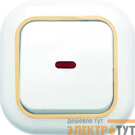 Выключатель 1-кл. СП Валентина  10А IP20 С16-068 с индик. бел./зол. Кунцево 7646
