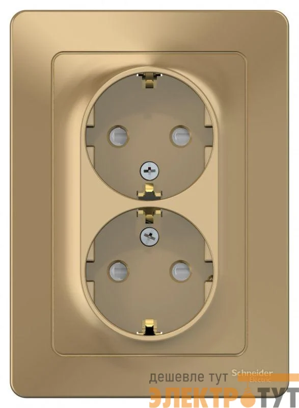 Розетка 2-м СП Blanca 16А IP20 250В с заземл. защ. шторки титан SchE BLNRS001124