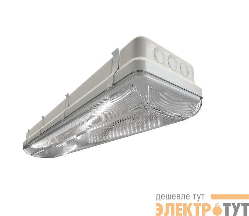 Светильник ДСП TL-ЭКО 236/35 PR IP65 (S5E) Технологии Света УТ000003617