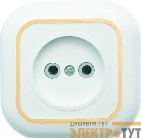 Розетка 1-м СП Валентина РС10-153 10А IP20 бел./зол. Кунцево 7652