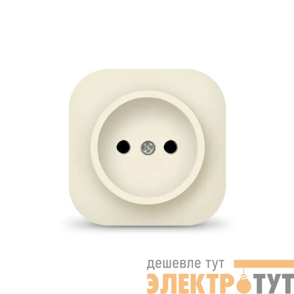 Розетка 1-м ОП 10А IP20 без заземл. сл. кость IONICH 1431