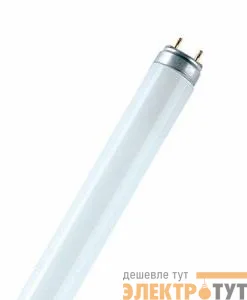Лампа люминесцентная L 18W/77 FLUORA 18Вт T8 7700К G13 OSRAM 4050300004235