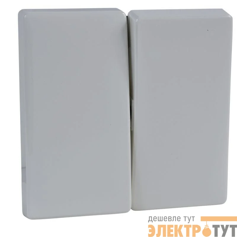 Клавиша для 2-кл. выкл. Merten Antique полярно бел. SchE MTN412519