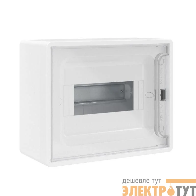 Щиток настенный 8мод. FRAME с прозр. дверцей с 2 шинами PEN на 6 и 8 отверст. бел. DKC F08W1WT