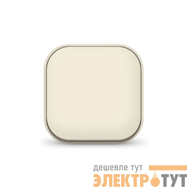 Выключатель 1-кл. 1п ОП 10А IP20 сл. кость IONICH 1423