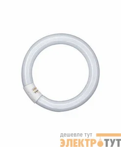 Лампа люминесцентная L 22W/840 C 22Вт кольцевая 4000К G10q OSRAM 4008321581082