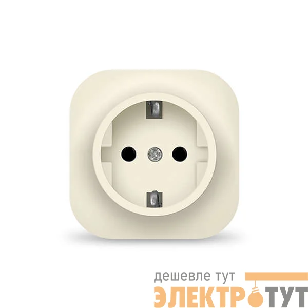 Розетка 1-м ОП 16А IP20 с заземл. сл. кость IONICH 1433