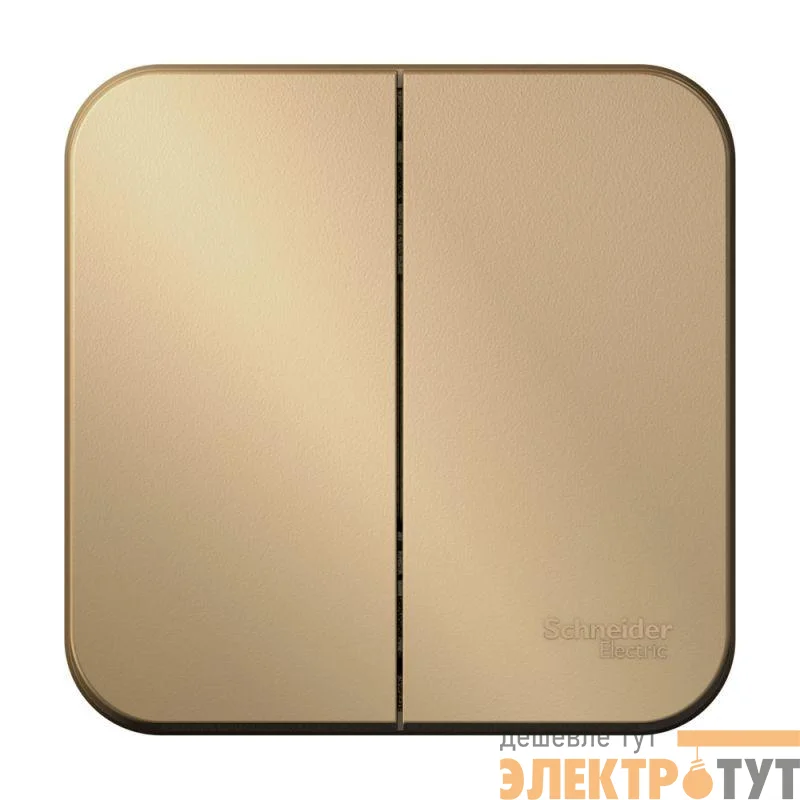 Выключатель 2-кл. ОП Blanca 10А IP20 (сх. 5) 250В титан SchE BLNVA105004