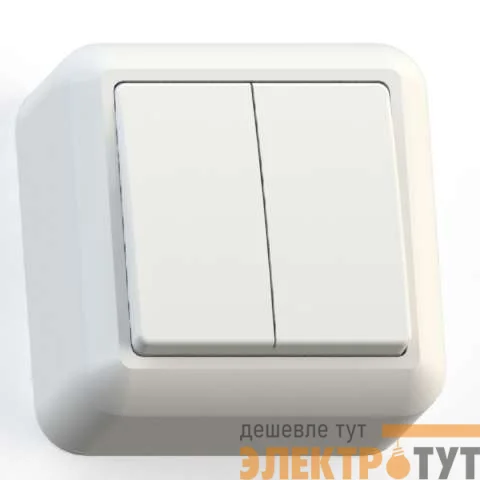 Выключатель 2-кл. ОП Оптима 10А IP20 А510-380 с монтаж. пластиной сл. кость Кунцево 8033