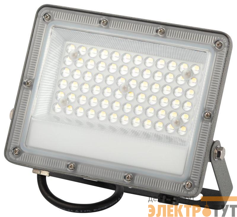 Прожектор светодиодный PRO LPR-063-0-65K-050 50Вт 6500К IP65 5000лм Г 90град. сер. Эра Б0067705