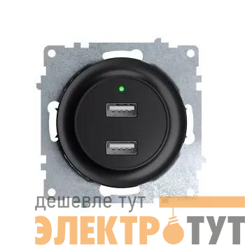 Розетка USB 2-м СП Florence 16А IP20 с подсветкой механизм черн. (1E10351303) OneKeyElectro 2260092