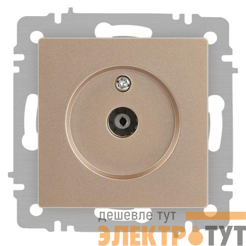 Розетка телевизионная одиночная TV СП Accent 6-301-04 IP20 шампань Intro Б0063609