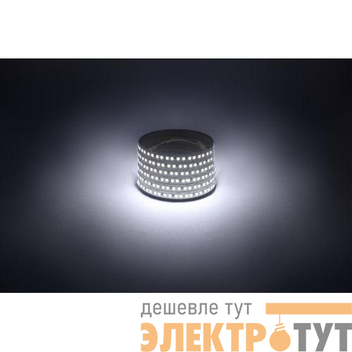 Лента светодиодная LS2835 -14.4-180-12-6500K-IP20-1 year-5m холод. бел. (уп.5м) Эра Б0059905