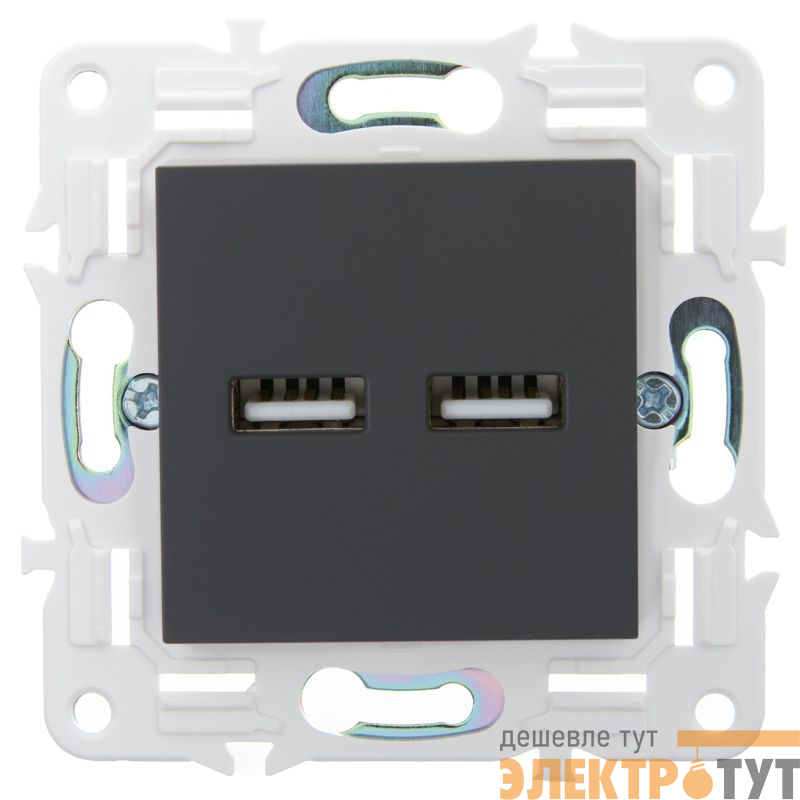 Розетка USB A+A 3.1А SKANDY SK-R15G графит IEK SK-U21-D31-K53