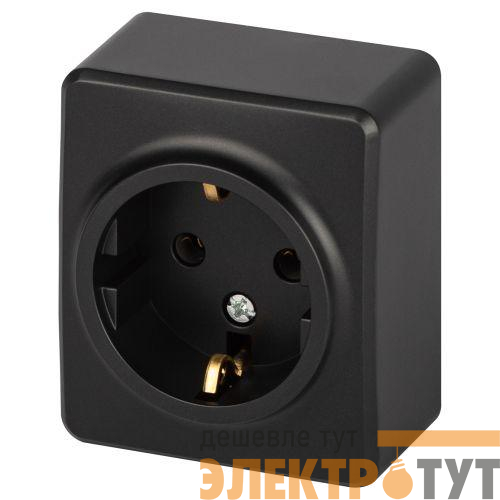Розетка 1-м ОП Эксперт 11-2203-05 16А IP20 250В 2P+E Schuko антрацит Эра Б0063008