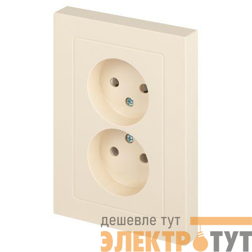 Розетка 2-м СП Accent 6-204-02 16А IP20 250В 2P AL/CU сл. кость Intro Б0063474